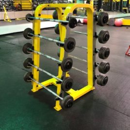 GPI 20-110 Fixed Straight Bar Set w/Precor Icarian Rack