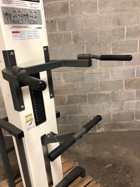 Buy Cybex Standing Assisted Dip & Pull-up Machine Online | Fitness ...