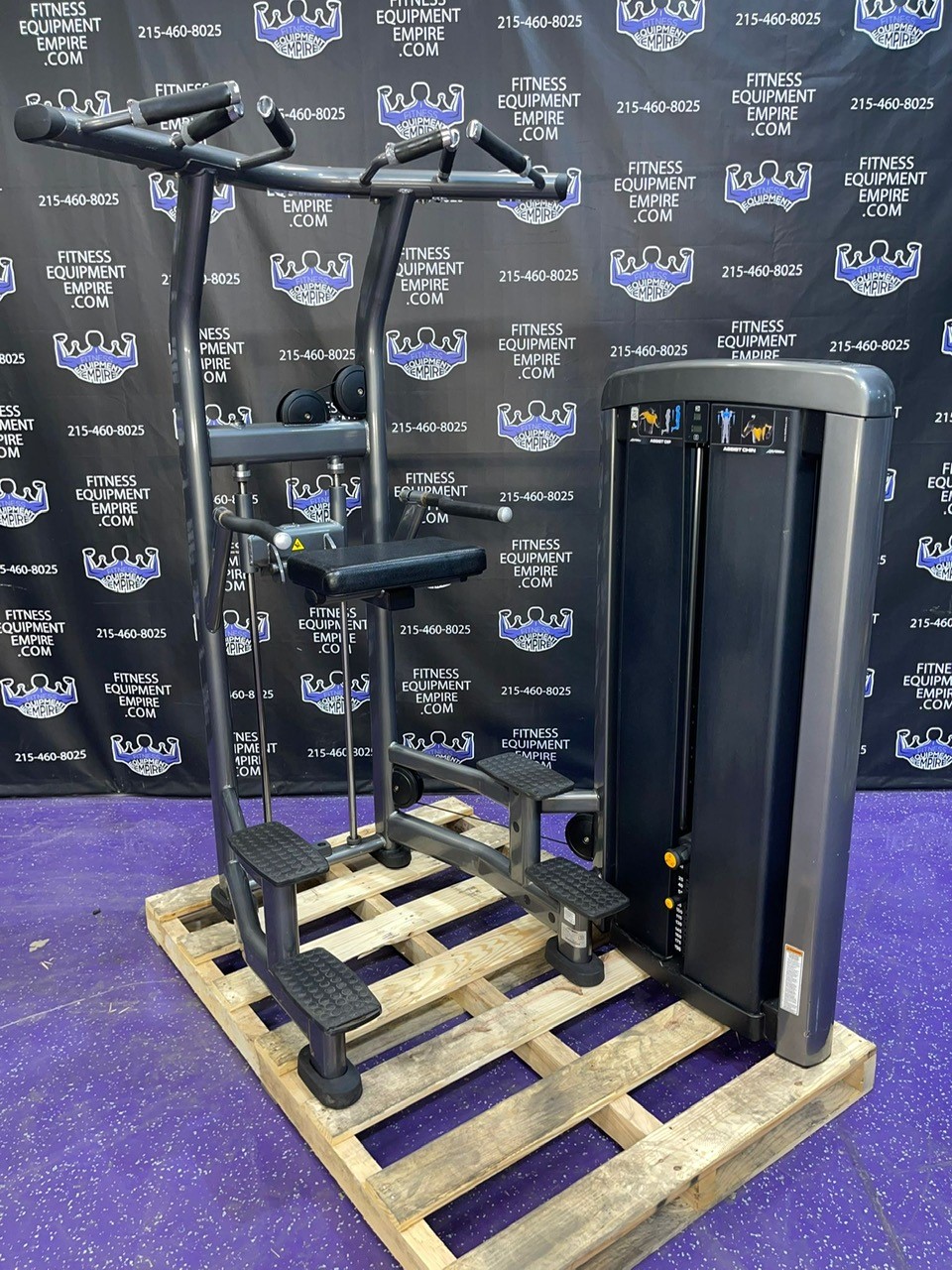 Buy Life Fitness Insignia Assisted & Bodyweight Dip & Pullup Machine