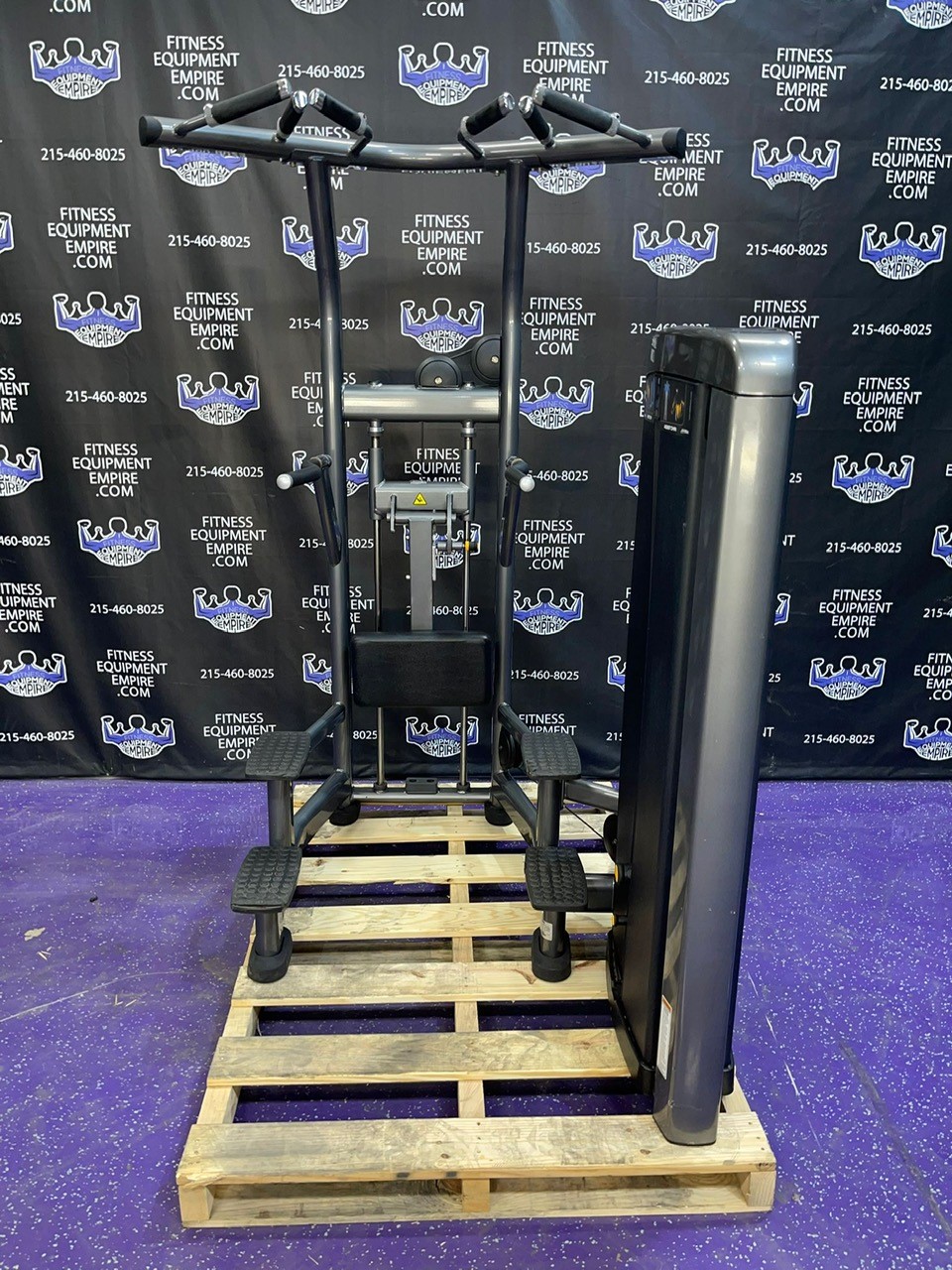 Buy Life Fitness Insignia Assisted & Bodyweight Dip & Pullup Machine