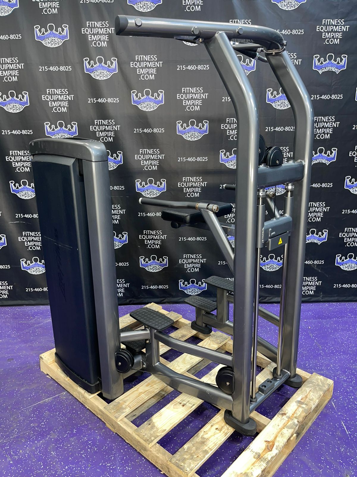 Buy Life Fitness Insignia Assisted & Bodyweight Dip & Pullup Machine