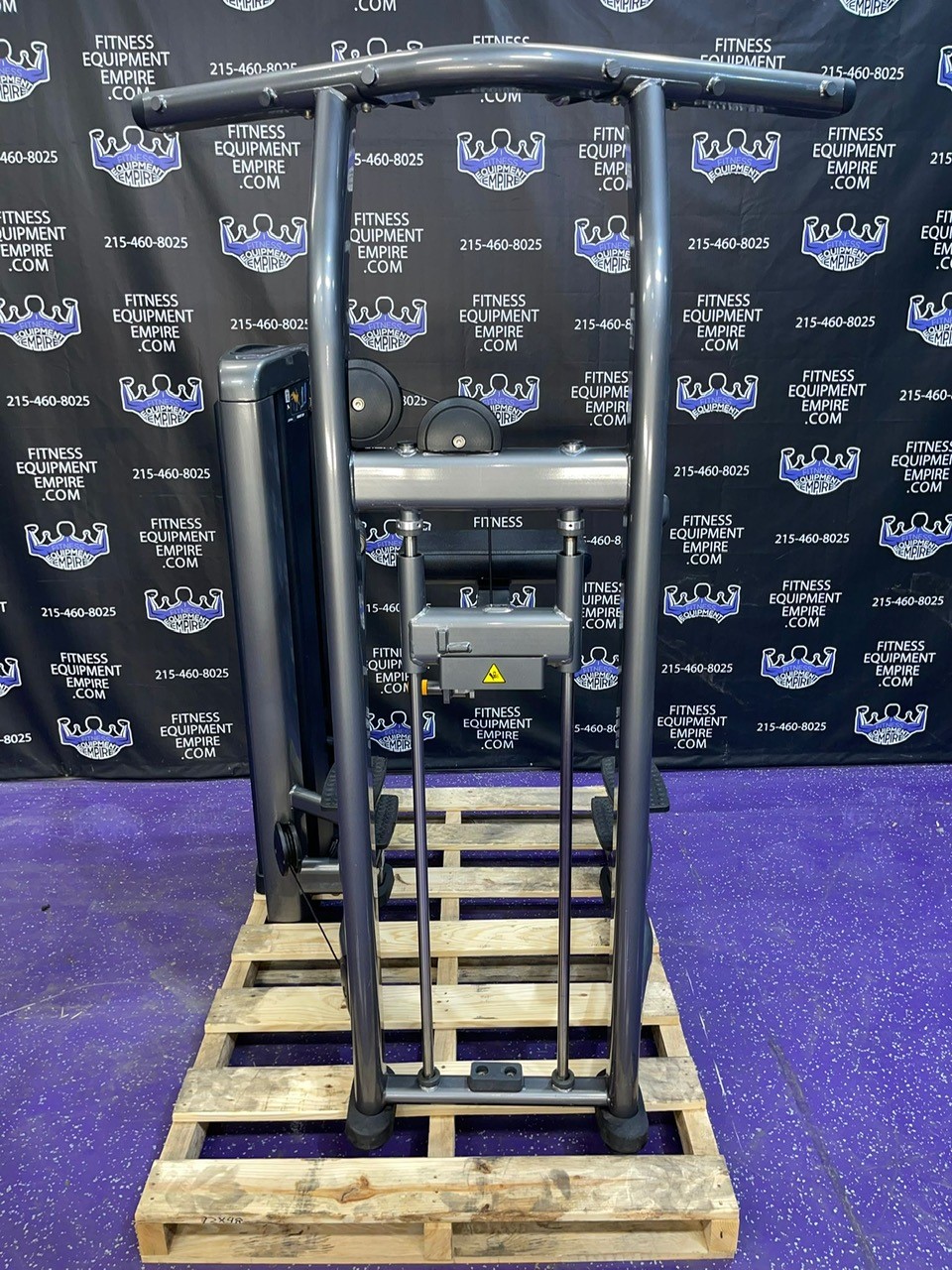 Buy Life Fitness Insignia Assisted & Bodyweight Dip & Pullup Machine