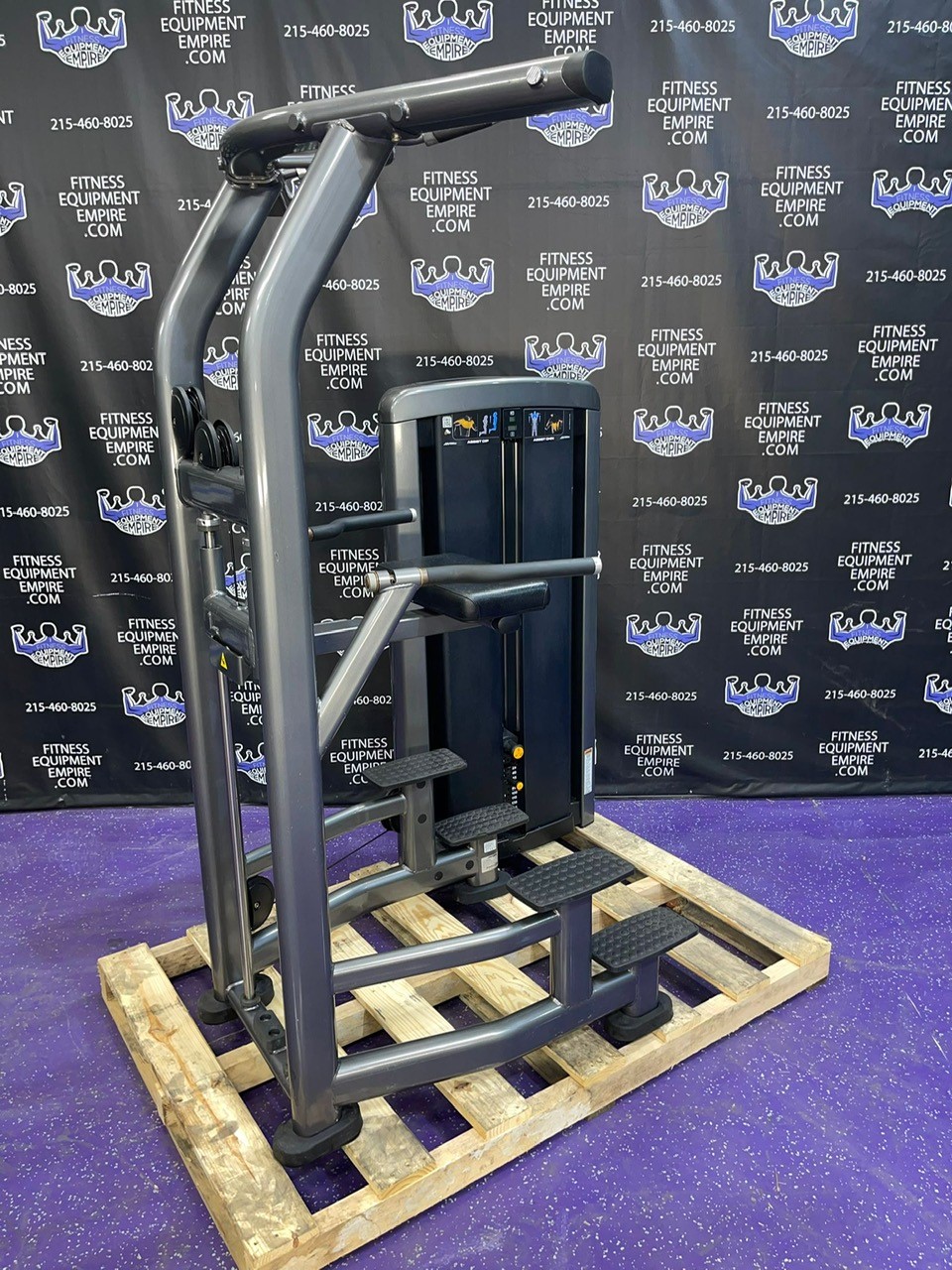 Buy Life Fitness Insignia Assisted & Bodyweight Dip & Pullup Machine