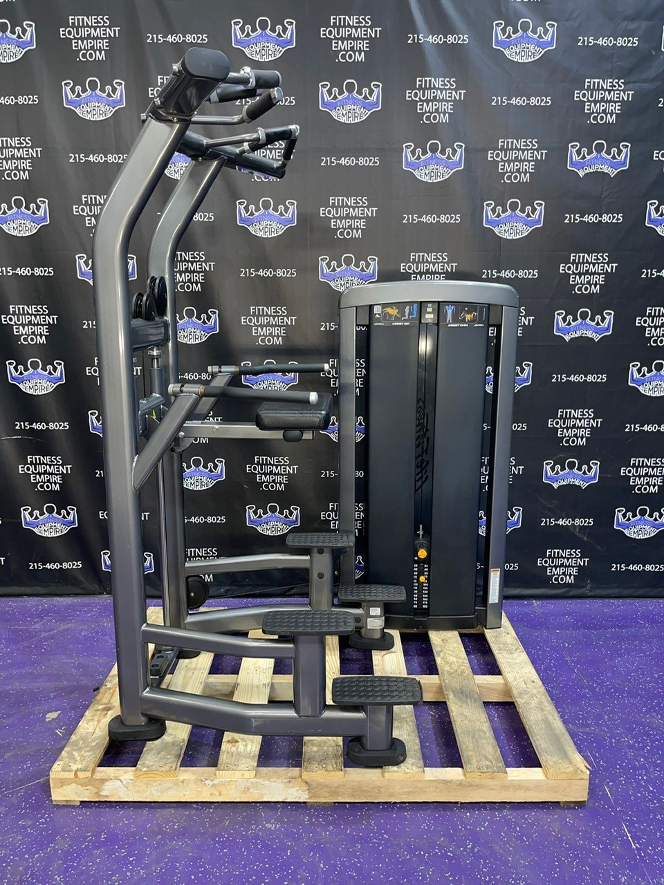 Buy Life Fitness Insignia Assisted & Bodyweight Dip & Pullup Machine