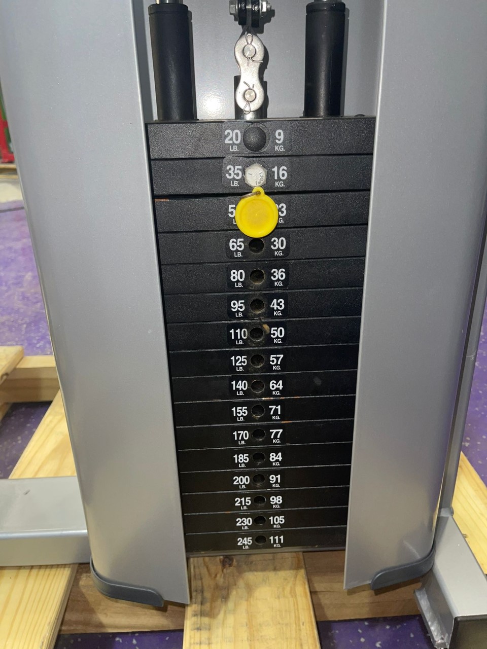 Buy Nautilus Nitro Plus Gravitron Assisted Dip & Pullup Machine Online