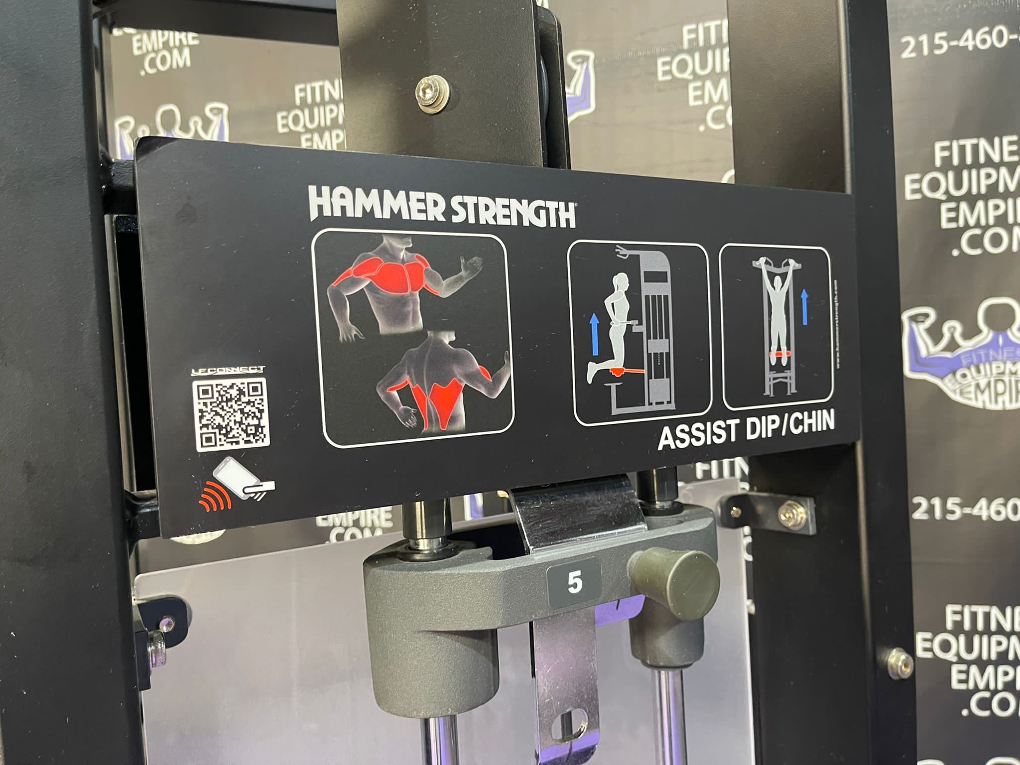 Buy Hammer Strength Select Assisted & Free Weight Dip & Pullup Combo