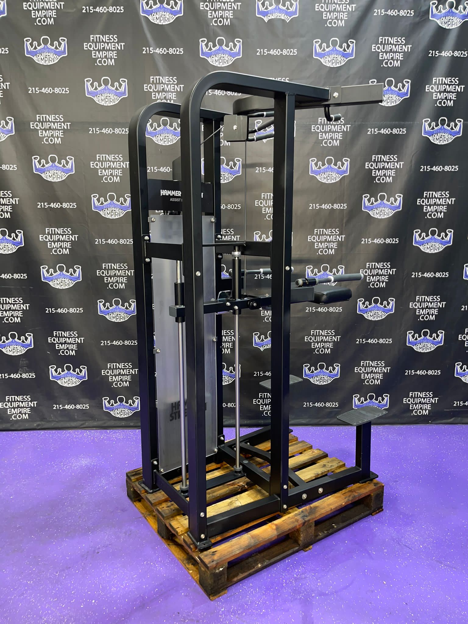 Buy Hammer Strength Select Assisted & Free Weight Dip & Pullup Combo