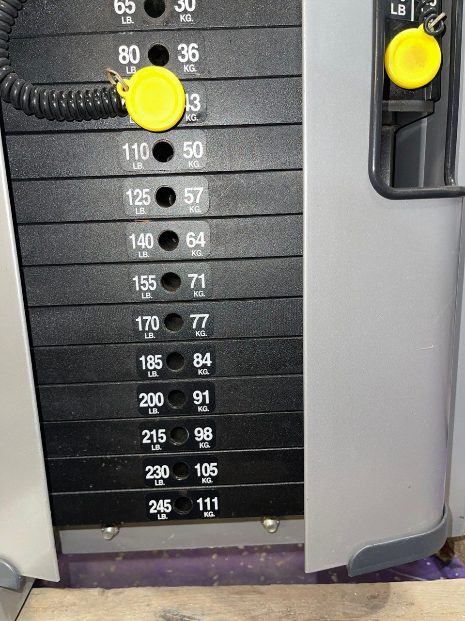 Buy Nautilus Nitro Plus Seated Dip Chest & Tris Immaculate Online