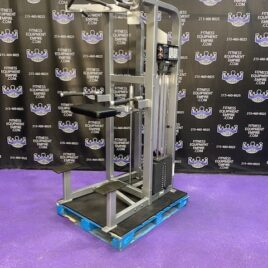 Life Fitness Pro 2 Assisted & Free Weight Dip & Pull-up Machine