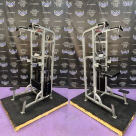 Life Fitness Platinum Pro Assisted Dip & Pull-up Combo