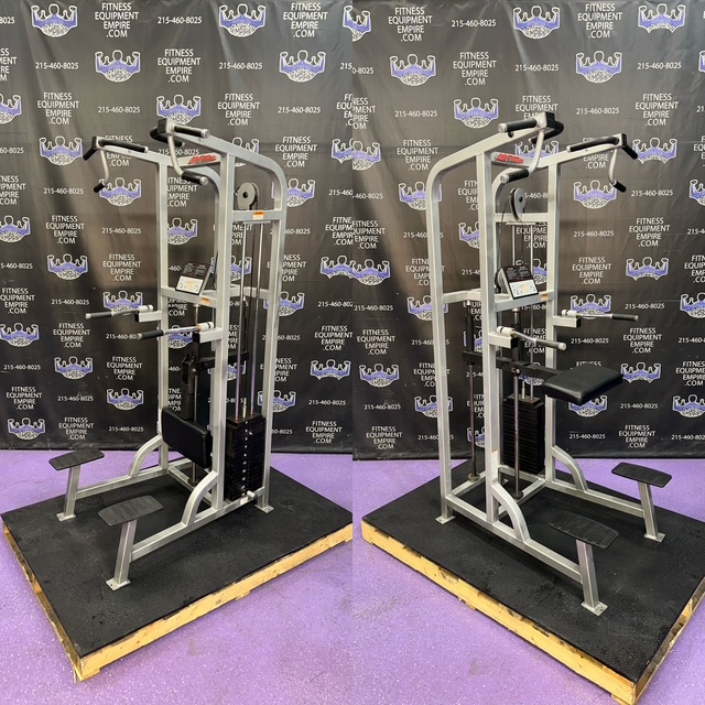 Buy Life Fitness Platinum Pro Assisted Dip Pull-up Combo Online
