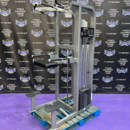 Hammer Strength Life Fitness Assisted & Free Weight Dip & Pull-Up Machine