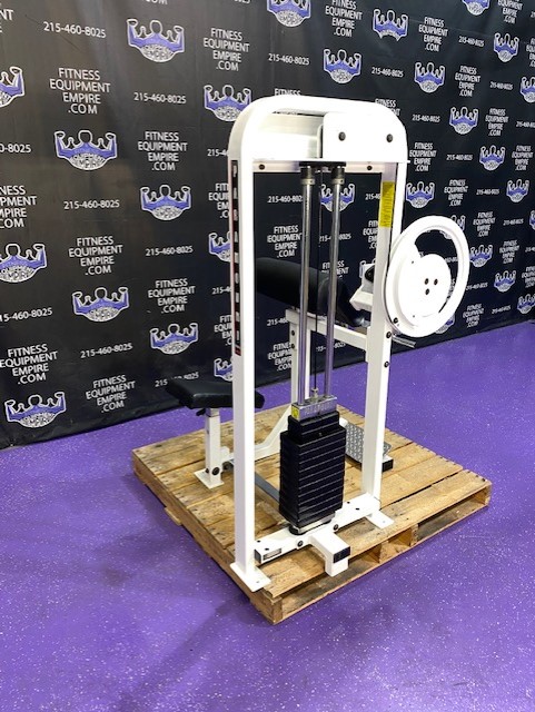 Buy Paramount Bicep Curl Online Fitness Equipment Empire