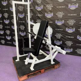 Cybex Classic Seated Dip 300 lb. Stack – RARE