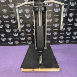 Life Fitness Platinum Pec Fly & Rear Delt Combo – Like New