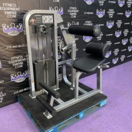 Life Fitness Pro 2 Platinum Low Back Extension