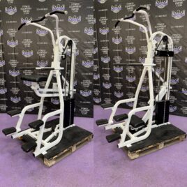 Nautilus Assisted & Body Weight Dip & Pull-up Combo Machine