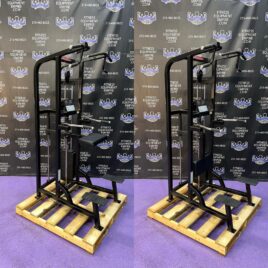 Life Fitness Pro Assisted Dip & Pull-up Combo