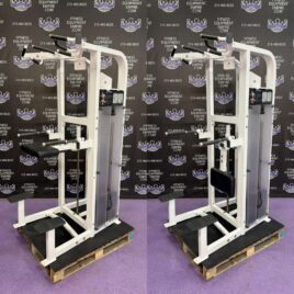 Life Fitness Hammer Strength Select Assisted & Body Weight Assisted Dip & Pull-up