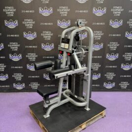 Life Fitness Platinum Pro Lateral Raise